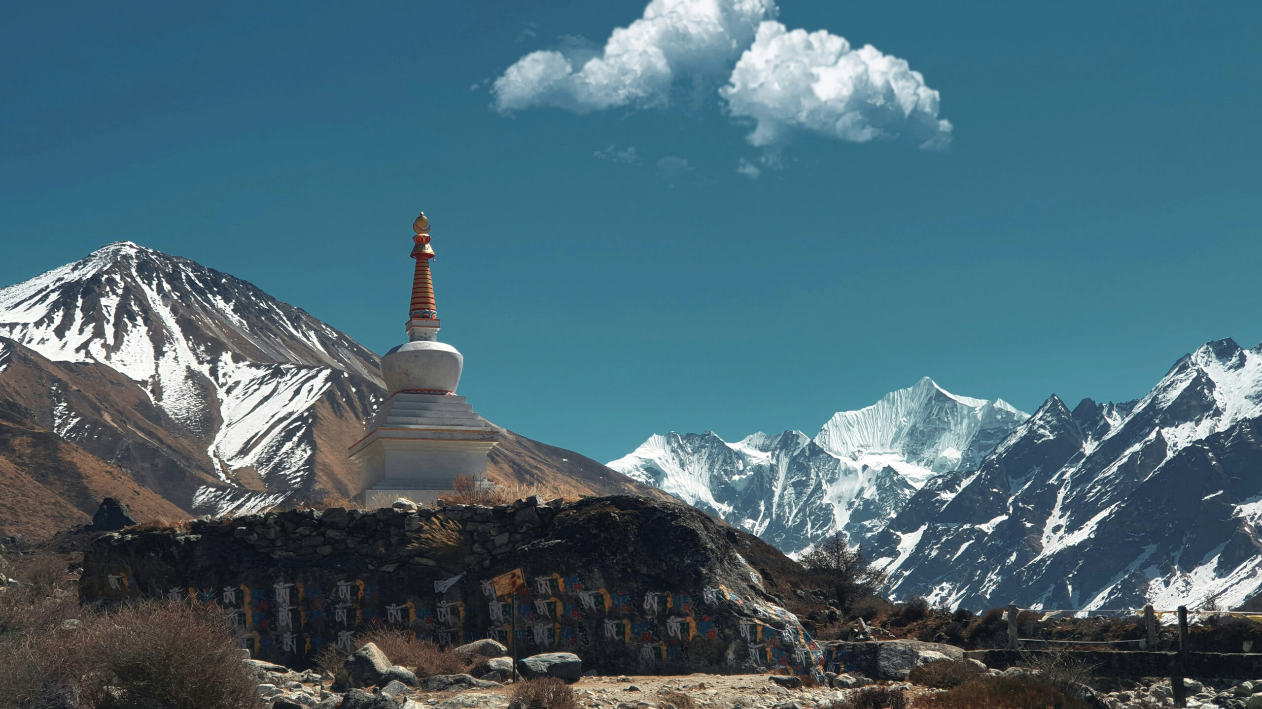 Lama Adventure & Treks